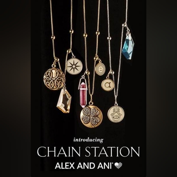 Alex and Ani Healing Love Chain Station Charm - Picture 6 of 10
